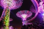 Gardens By the Bay, Singapore HD Wallpapers