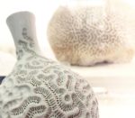 Artist Made 100 Clay Bottles in 100 Days as a New Year Resolution