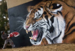 Artist Creates 3D Street Art Like You’ve Never Seen Before