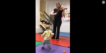 This Baby’s Reaction to Hearing the Violin will Melt Your Heart