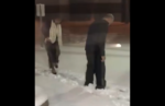 Man Clears up Snow Path For His Wife in Heartwarming Video