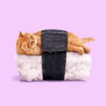 Mexican Graphic Designer Makes Surrealistic Art That Is All the Rage
