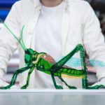 Artist Makes Highly Detailed Insect Sculptures