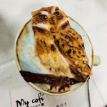 Taiwanese Barista Creates Incredibly Realistic 3D Latte Art