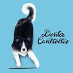 These Cats and Dogs Illustrations Are Simply Hillarious