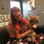 The Unusual Friendship Between A Girl And Her Donkey