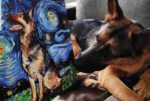 Artist Creates Adorable Starry Night Paintings With Dogs Aja Trier