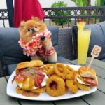 Chewie Isn’t Your Typical Pomeranian