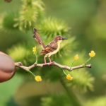 These Hand-Cut Miniature Birds Are Pretty Incredible