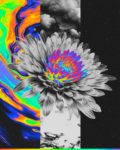 Alycia Rainaud’s Art Is a Psychadelic Dream