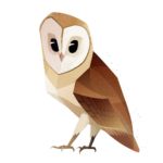 Extra Big Bird: This Illustrator Went Viral Thanks to One Pigeon