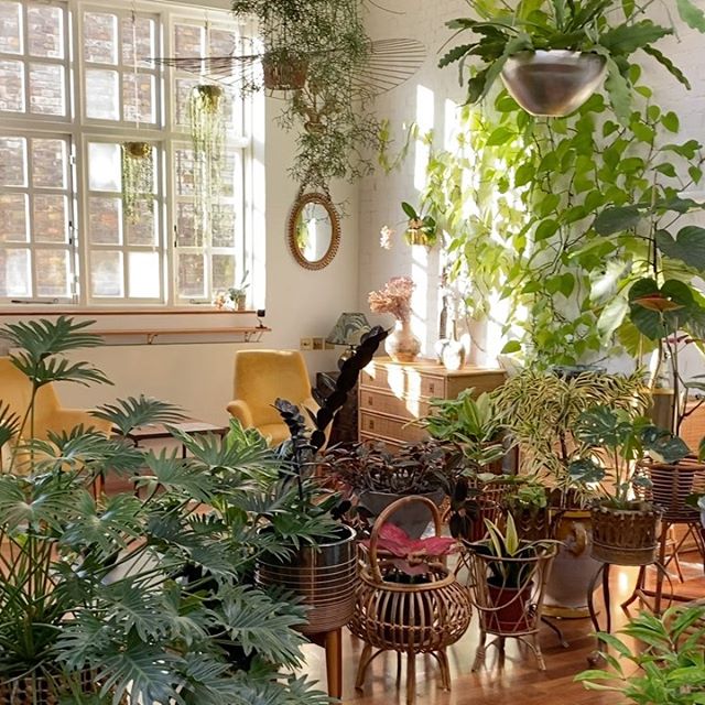 Jamie Song Created the Most Impressive Indoor Garden in London
