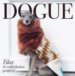 “Dogue” Covers are Taking Over Social Media