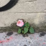 Enjoy These Beautiful Street Doodles Made By Artist CAL in Lyon, France