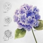 Kate Kyehyun Park Will Inspire You to Start Drawing Beautiful Flowers