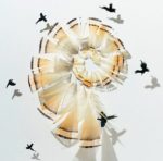 Chris Maynard is Transforming Discarded Feathers Into Show-Stopping Works of Art