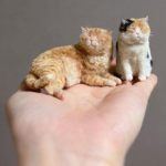 Japanese Artist Mebaru is Crafting Incredibly Realistic Felt Cats