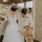 An Uninvited Stray Gets Adopted After Crashing a Wedding